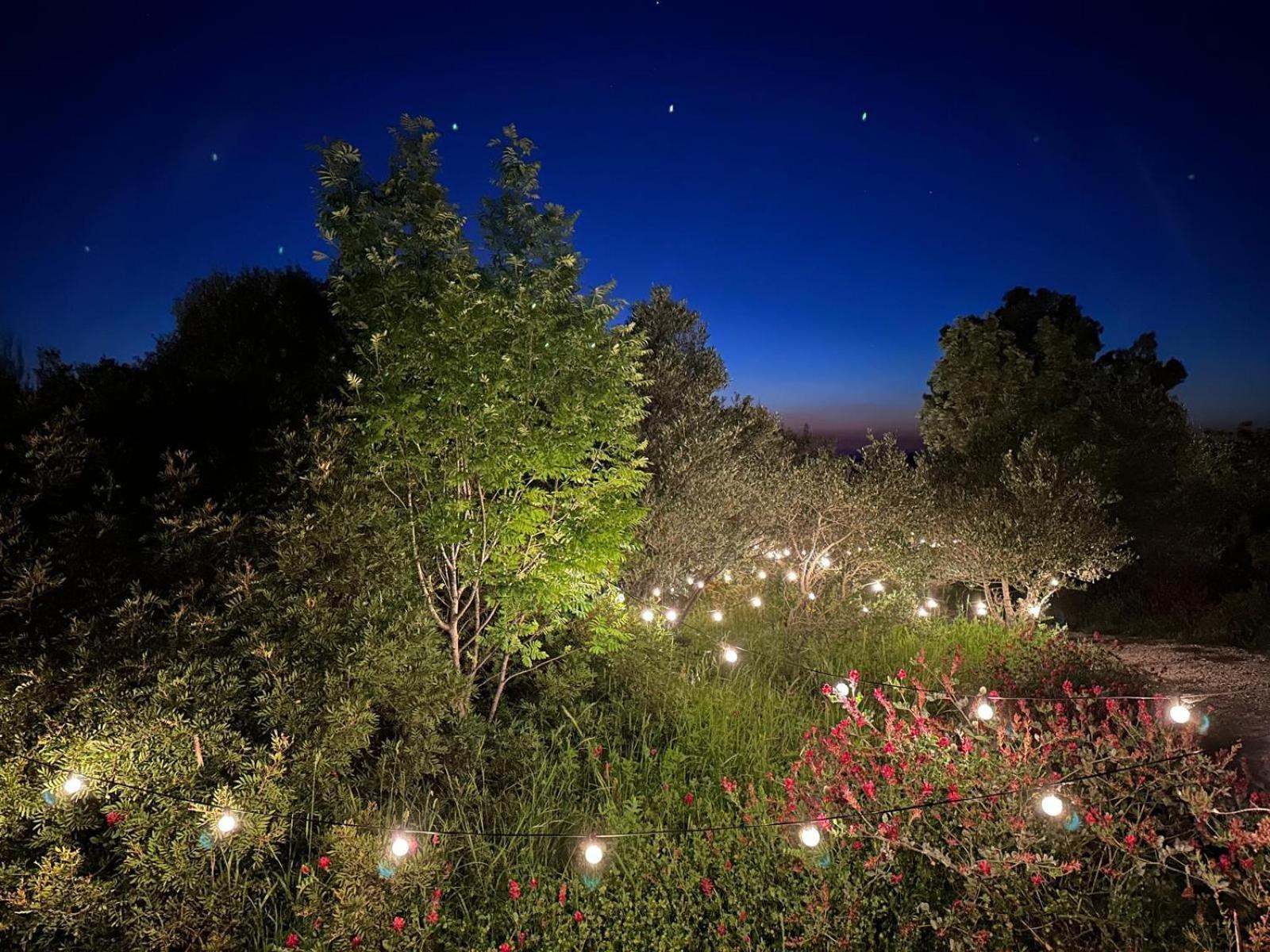 Glamping San Bart Hotel San Vincenzo Buitenkant foto