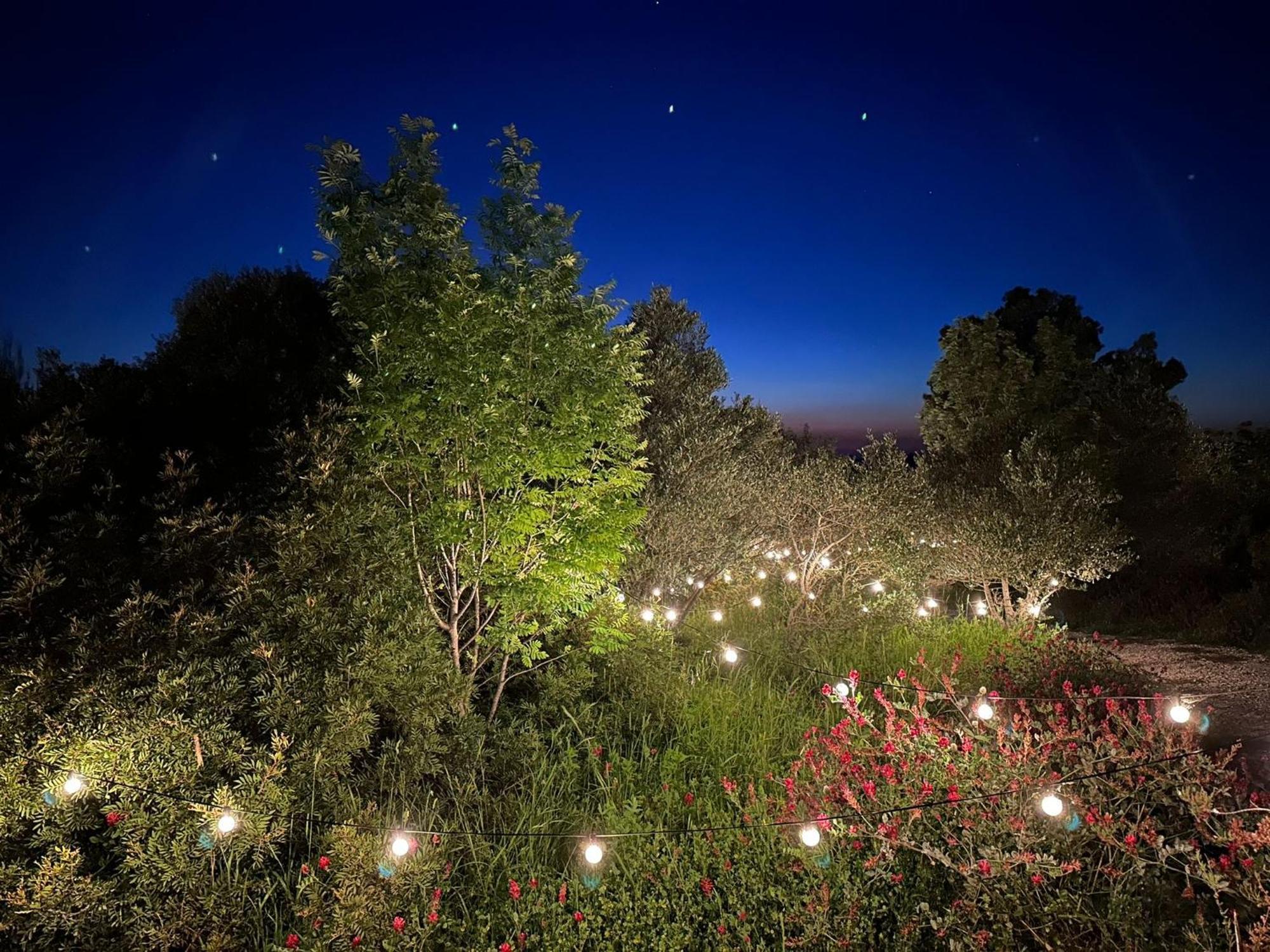 Glamping San Bart Hotel San Vincenzo Buitenkant foto